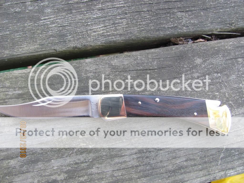 Picture009.jpg