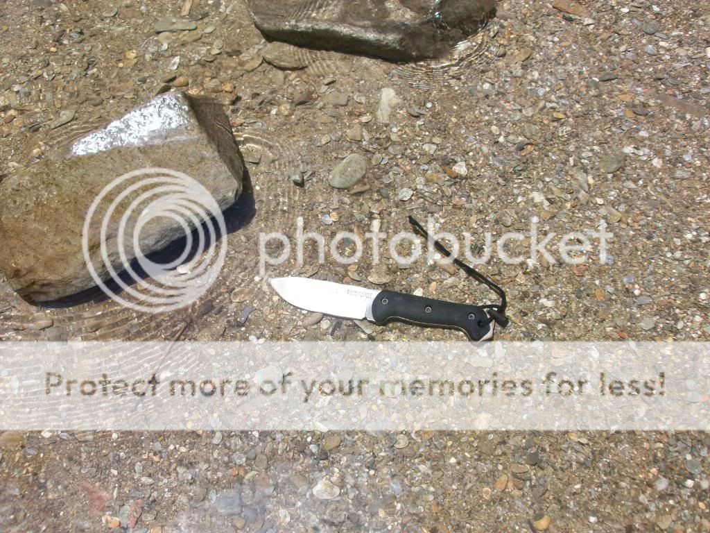 100_2466.jpg