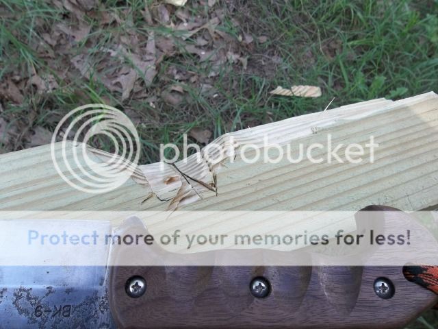 100_2819.jpg