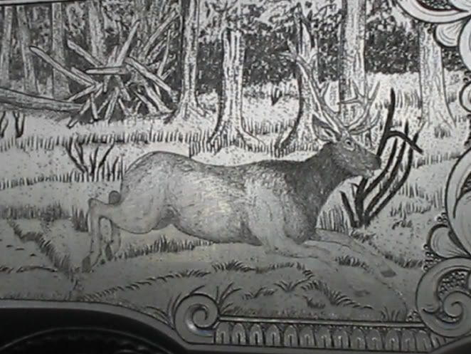 elk2.jpg