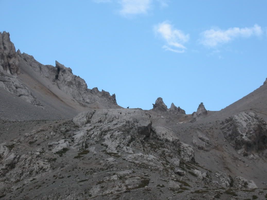 IMG_1988_resize.jpg