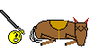 horse2_zpsa7133426.gif