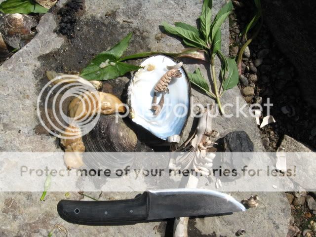 IMG_4769.jpg