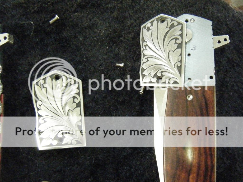 DSCF3907_zps13282eab.jpg