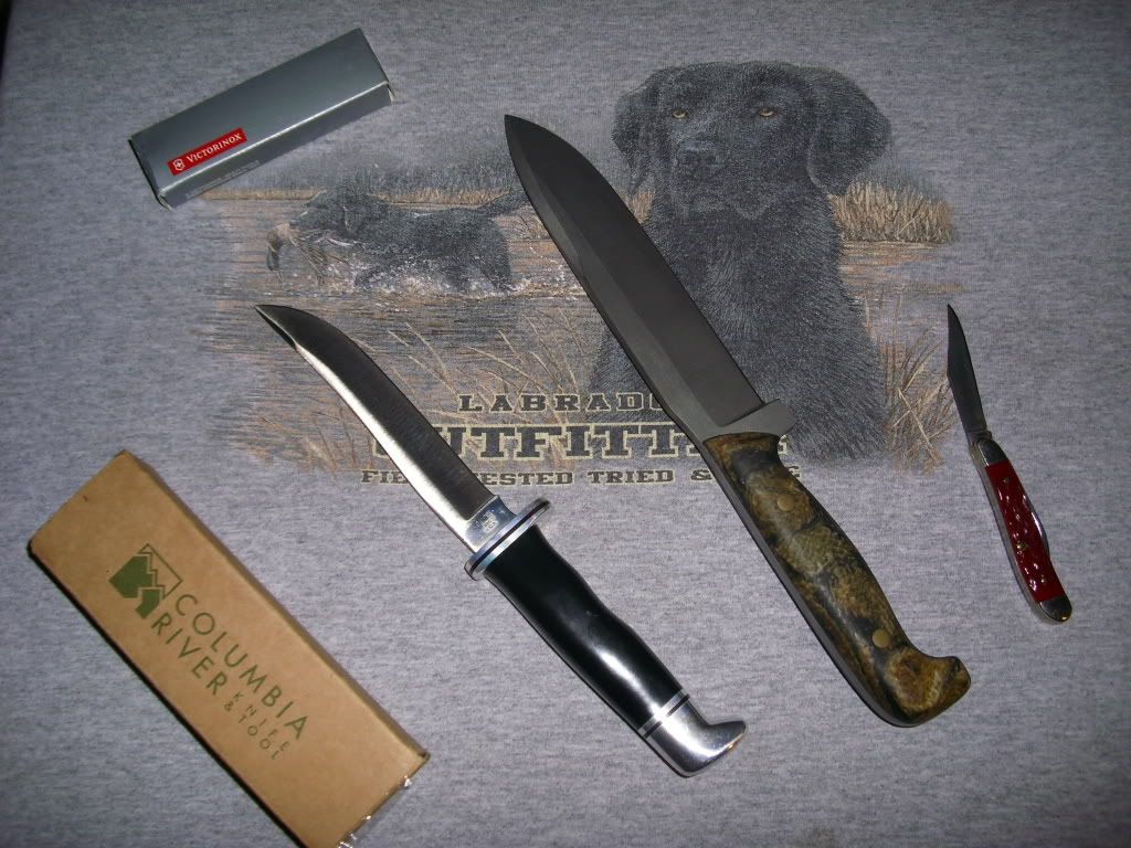 DSCI0554.jpg