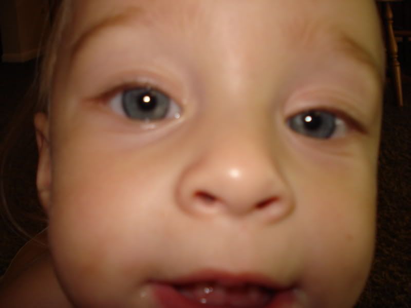 DSC05533.jpg