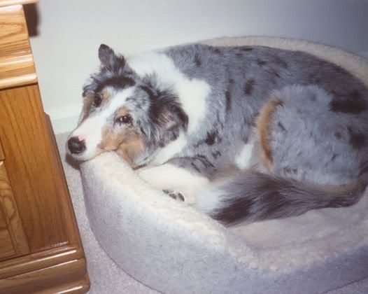 lucy2002.jpg