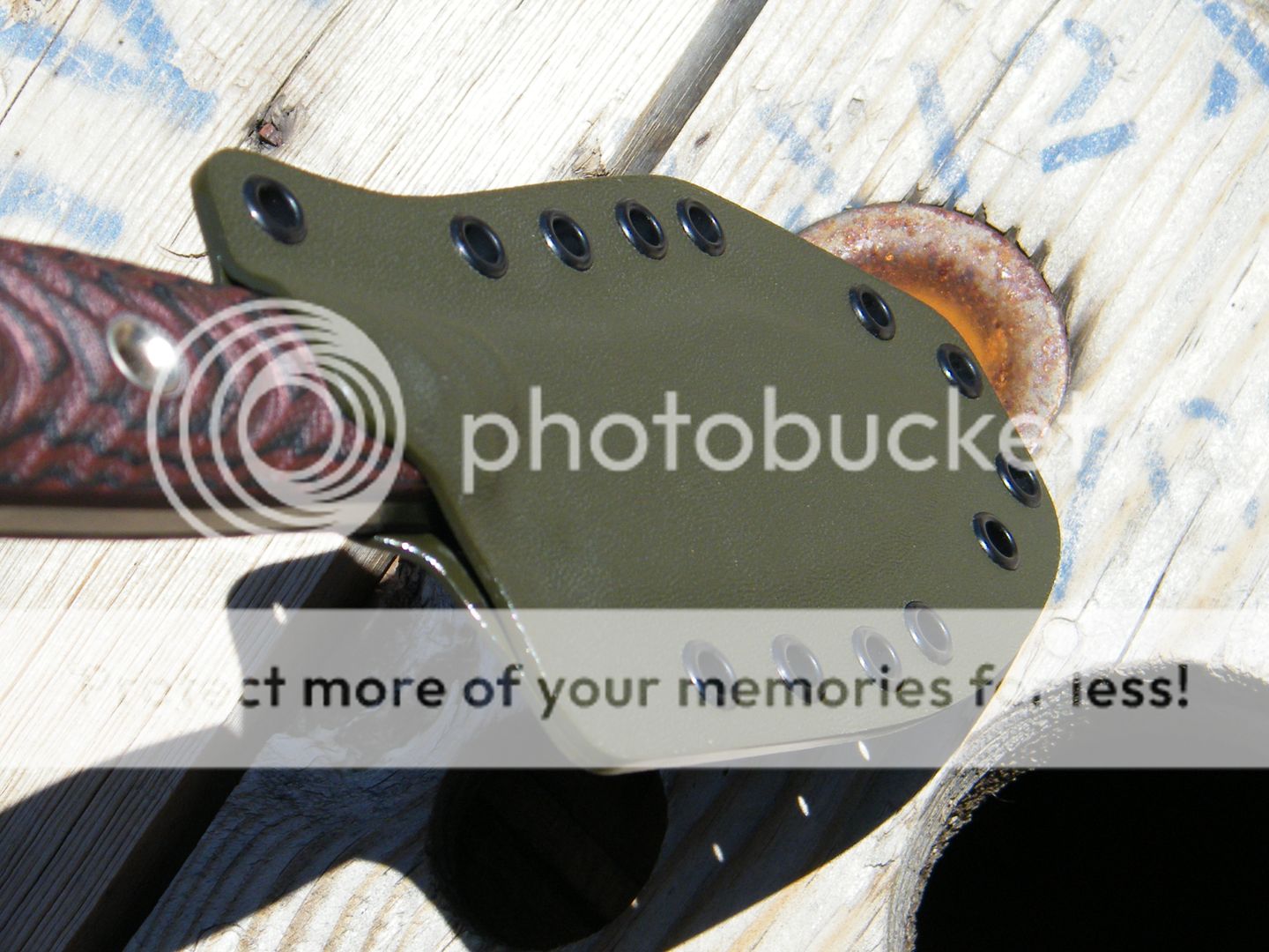 DSCF7290.jpg