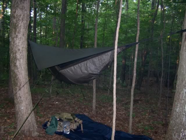 100_8767.jpg