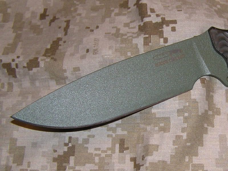 SJT_ODBP_2.jpg