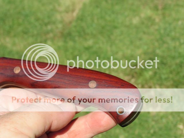 IMG_1833_zps3b402a20.jpg