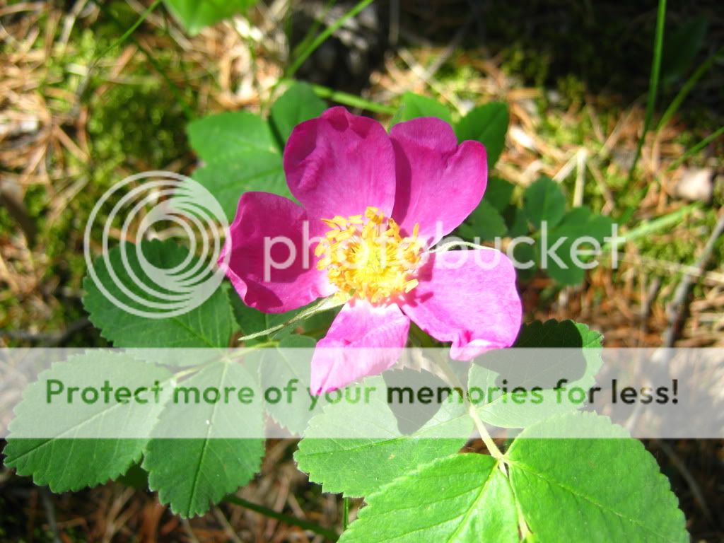 IMG_7571.jpg