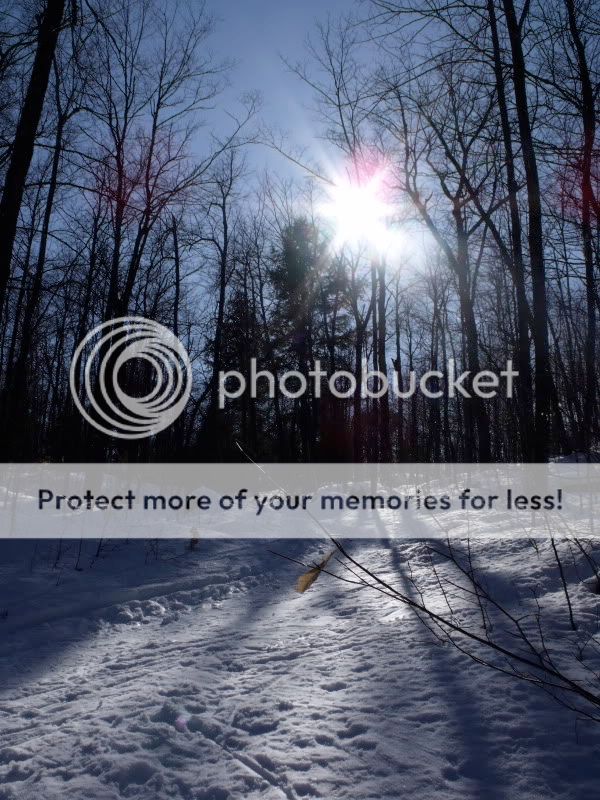 DSCF2055.jpg