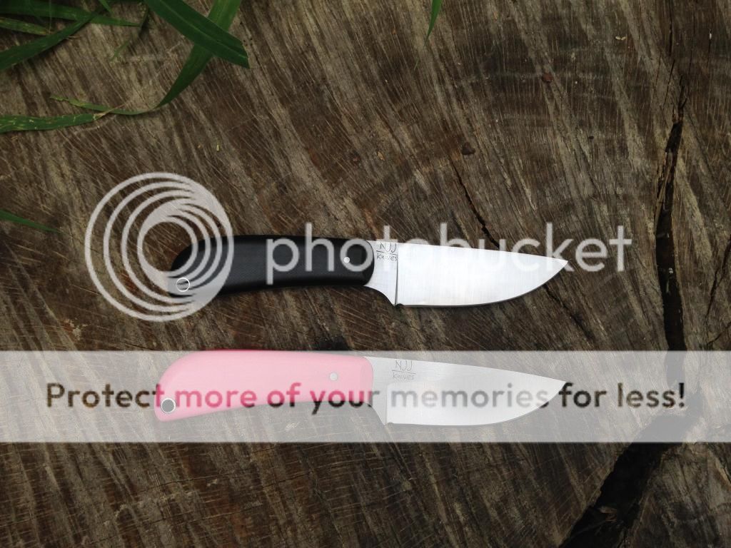 IMG_0153_zps4f1fe5bc.jpg