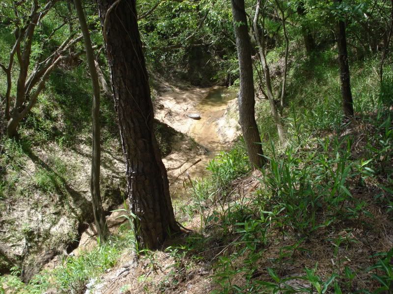 20090409_9.jpg