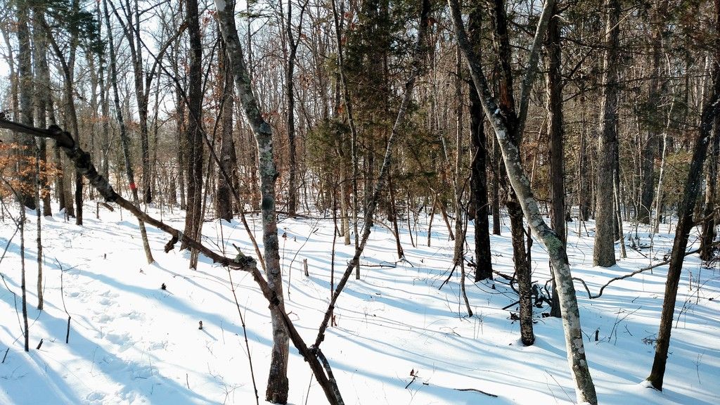 IMG_20170108_163743.jpg