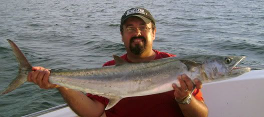 Kingfish.jpg