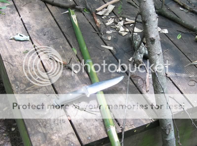 BambooandApple.jpg