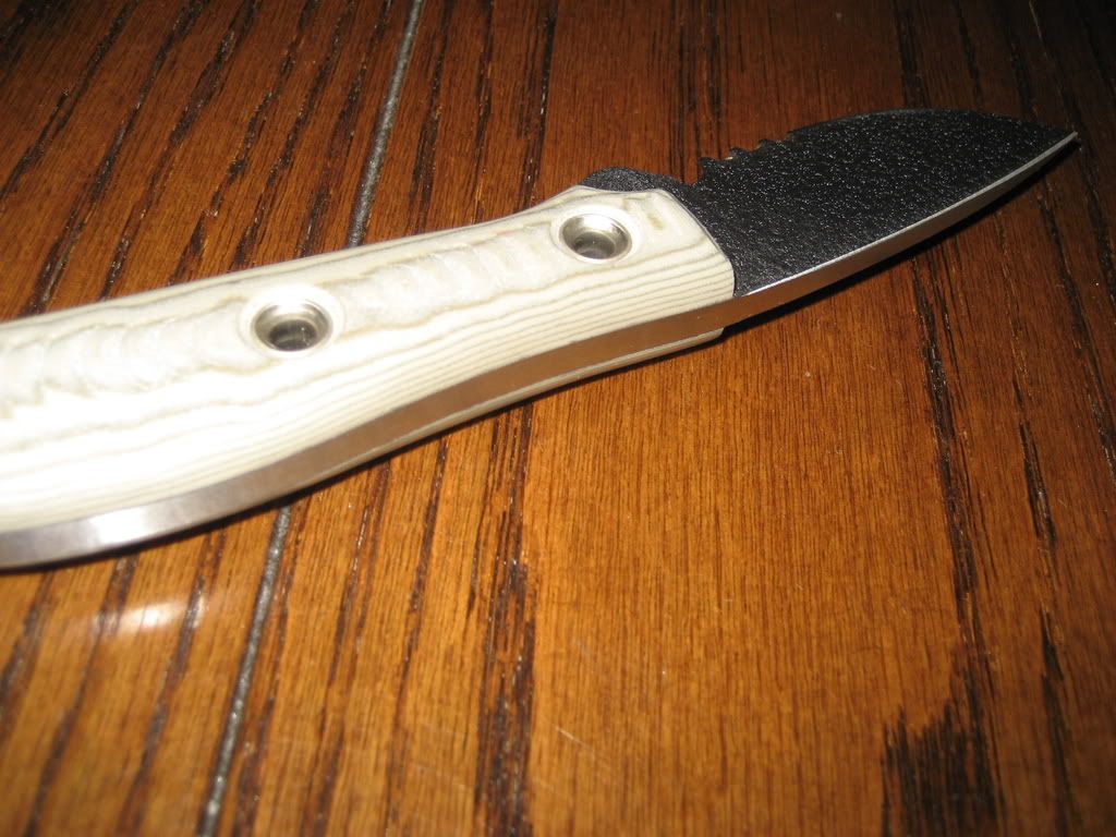 IMG_0750.jpg