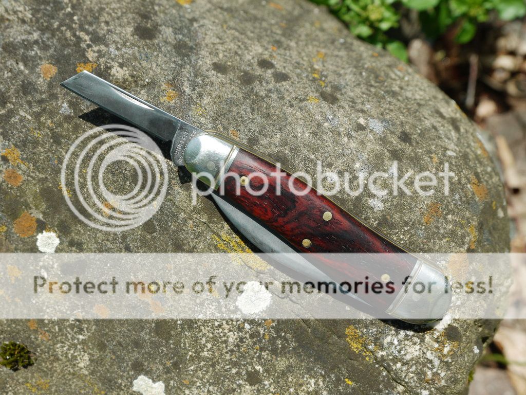 Geppetto_12_small_zpsb89ec61d.jpg