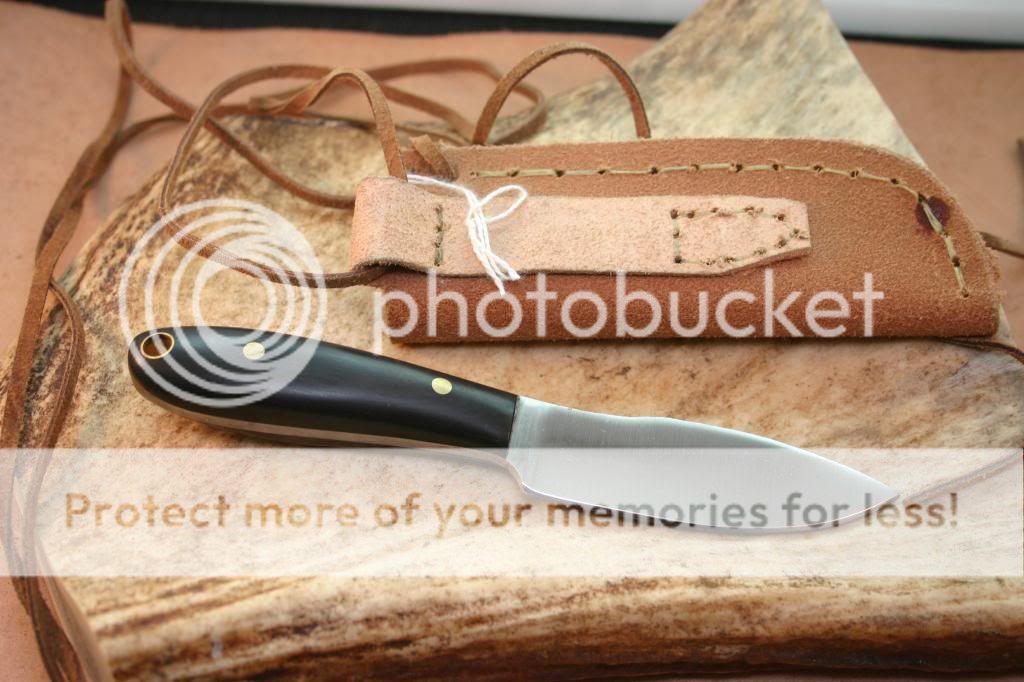 IMG_4293_1_zps8960d8c1.jpg