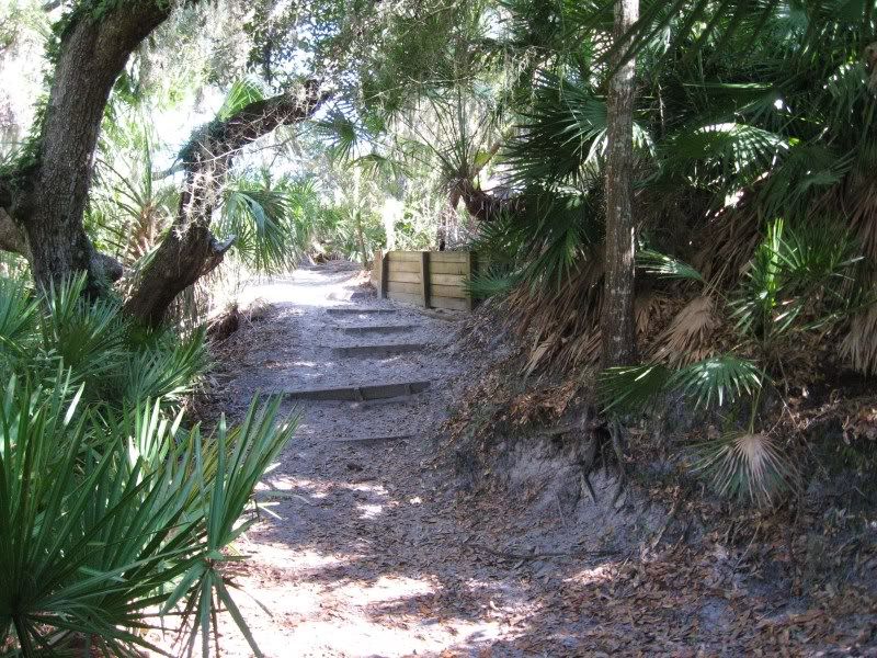 Jekyll039.jpg