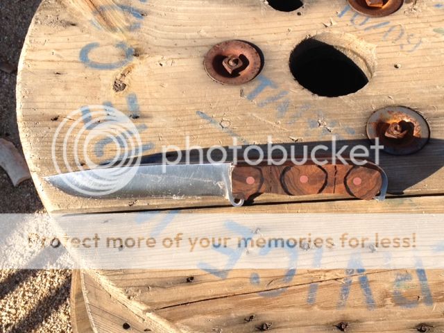 photoMA28152423-0018.jpg