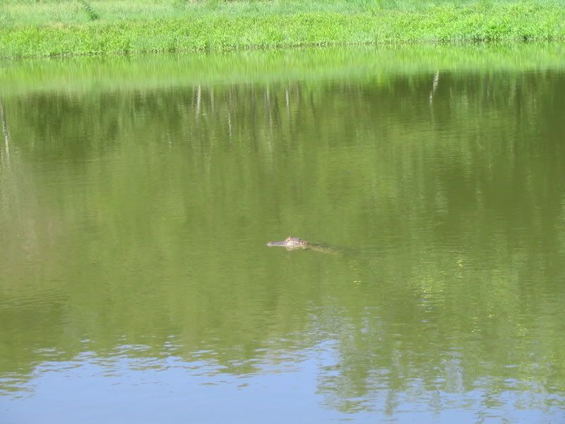 IMG_1325.jpg