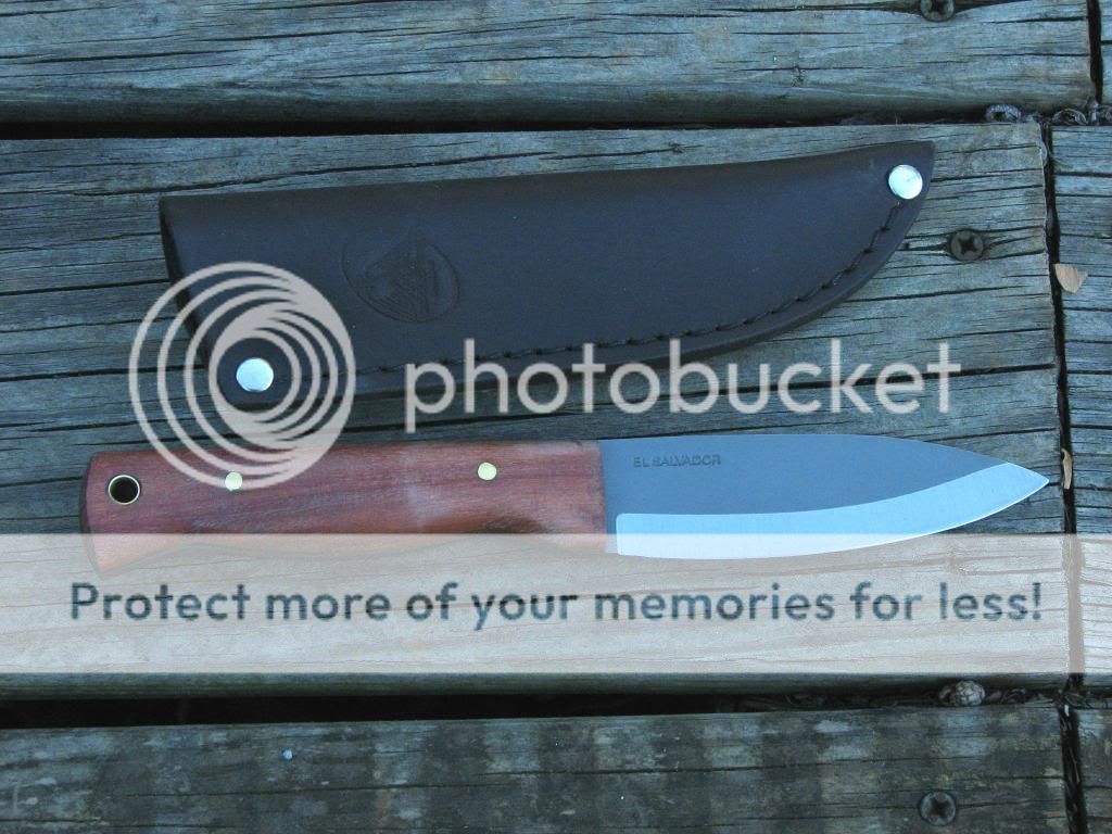 019_zpse7ca86ff-1_zps3ac09052.jpg