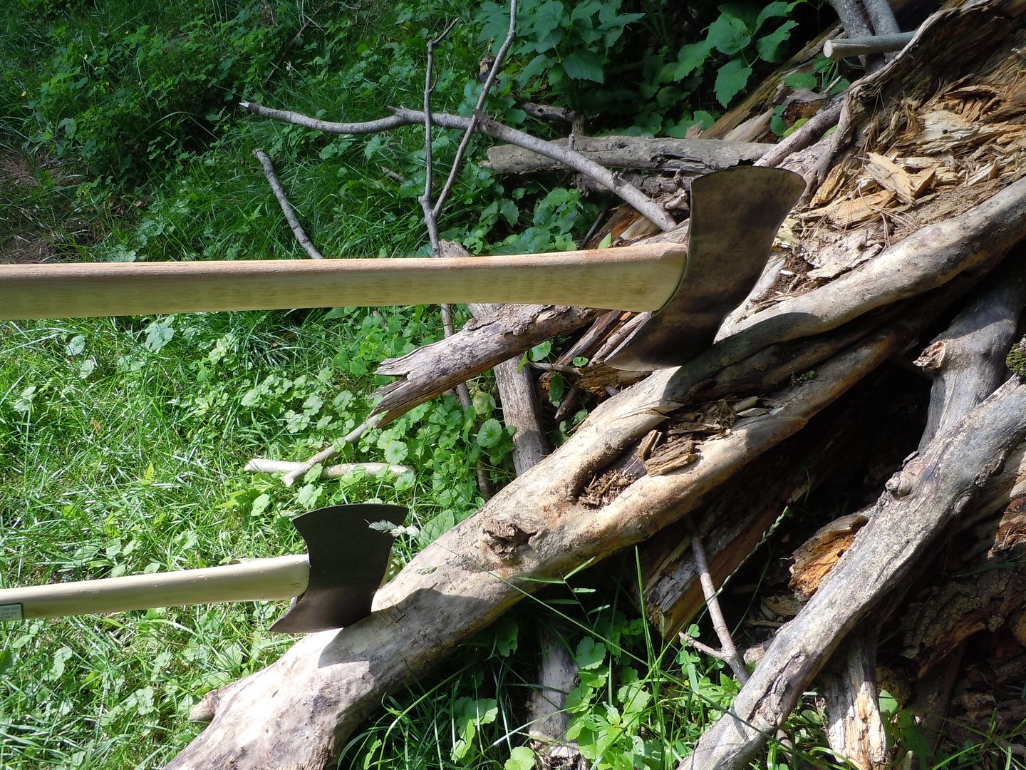 DSCN0923.jpg