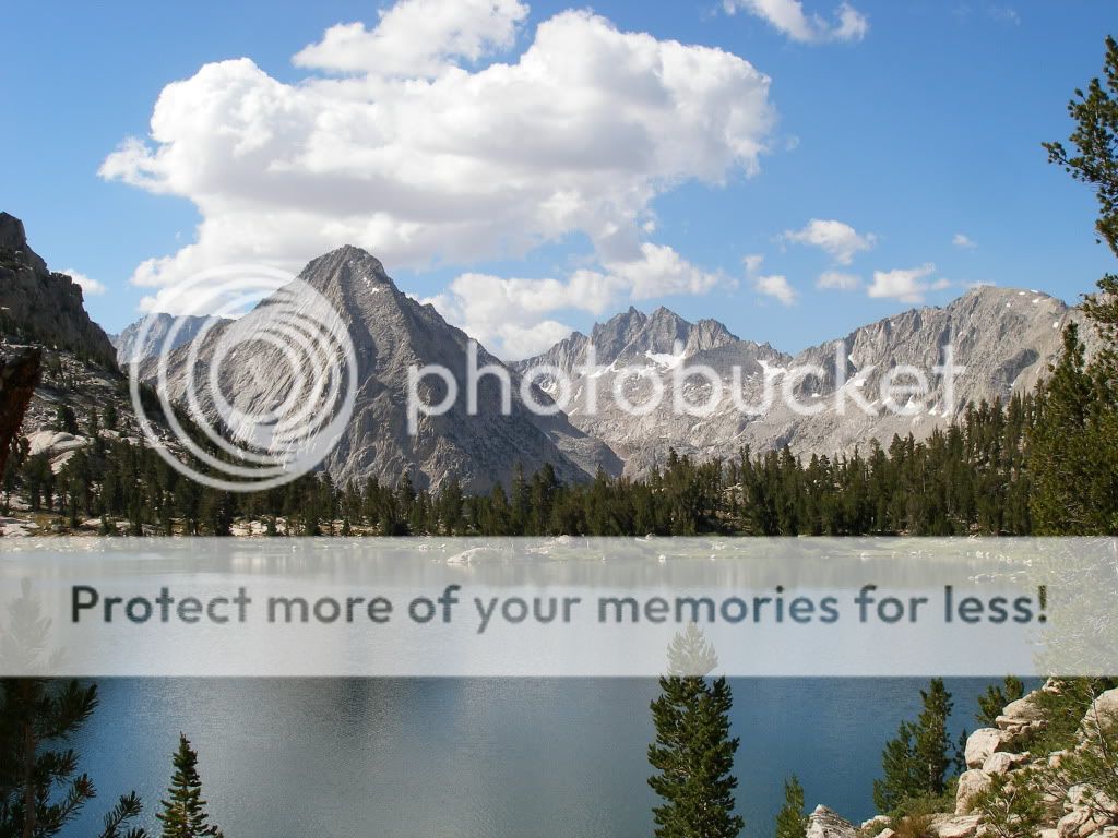 KingsCanyon2009536.jpg
