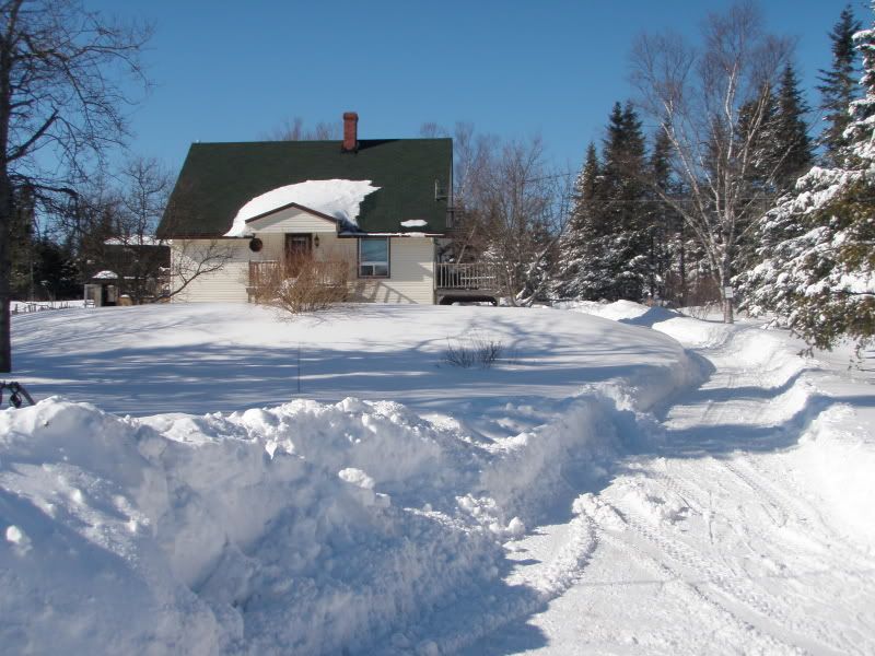 P2032826.jpg