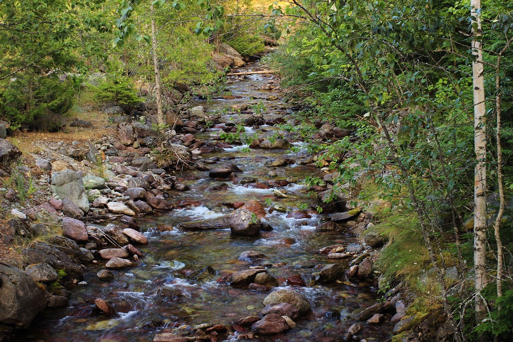 9557099986_f528a7211f_b.jpg