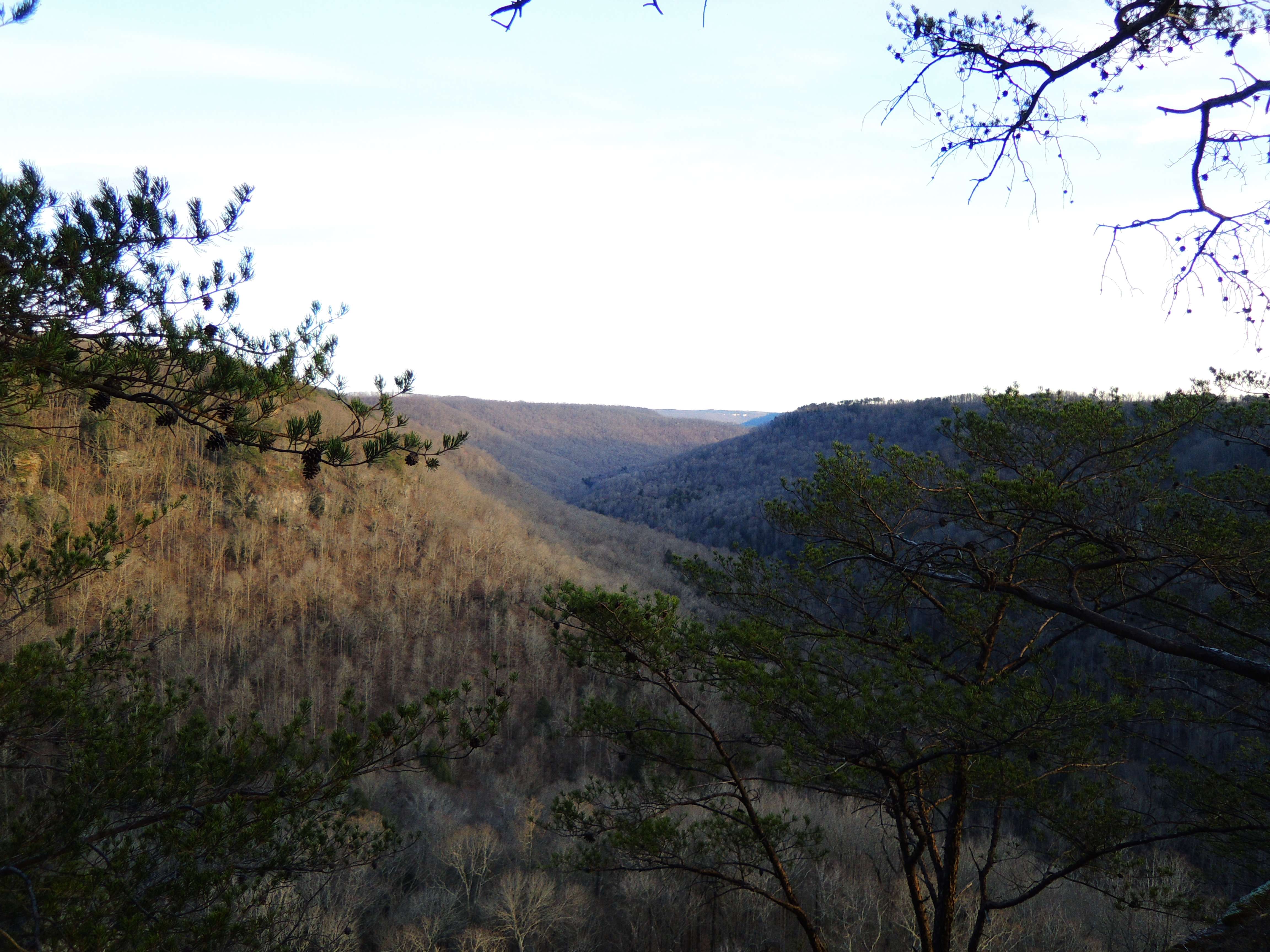 dscn9347s.jpg