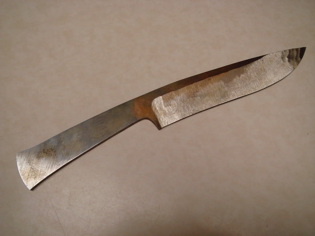 DSC01627.jpg
