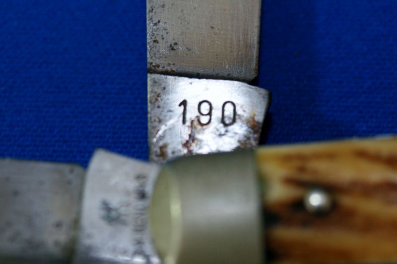 190.jpg