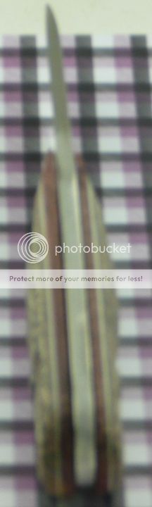 BothSidesAlmostThere3_zpsac840e0b.jpg