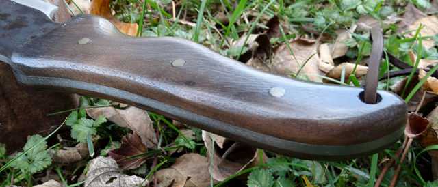 D7tAnae.jpg