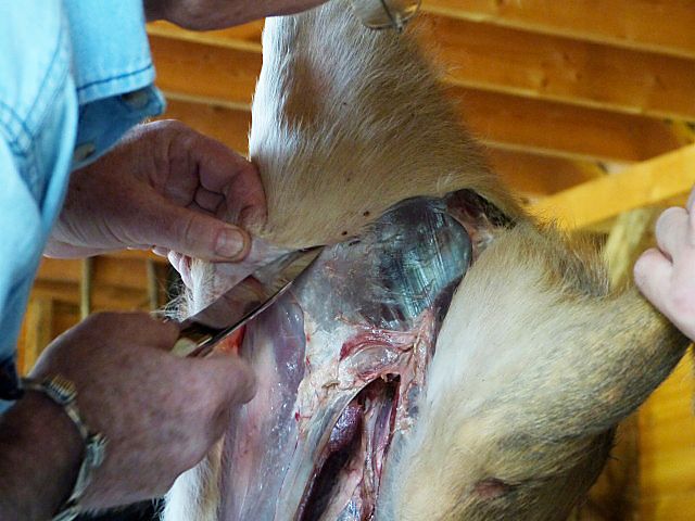 P1000136.jpg