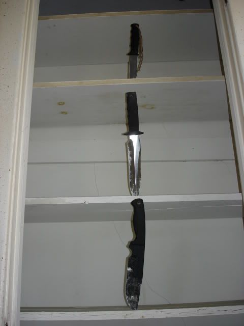 Picture3113.jpg