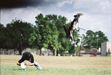 huckgettinBIGair.jpg