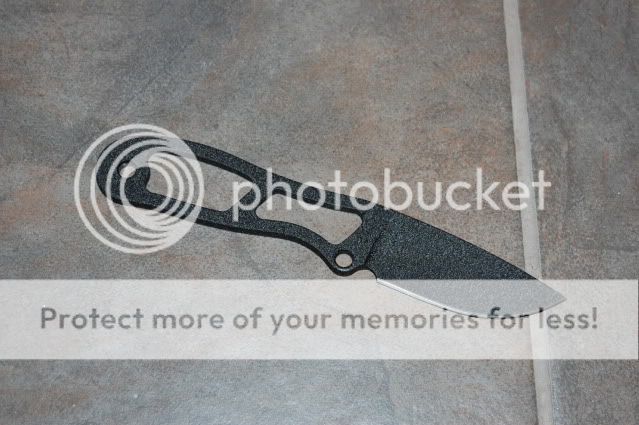 DSC_0964.jpg