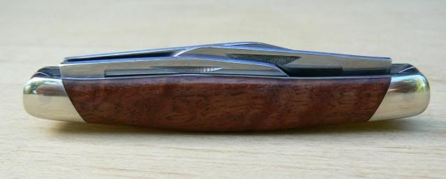 jr3031.jpg