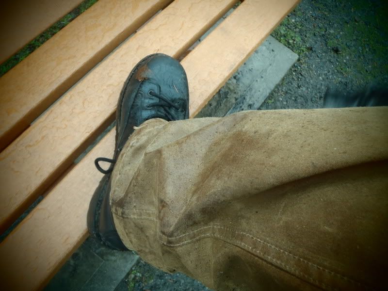 P2290010.jpg