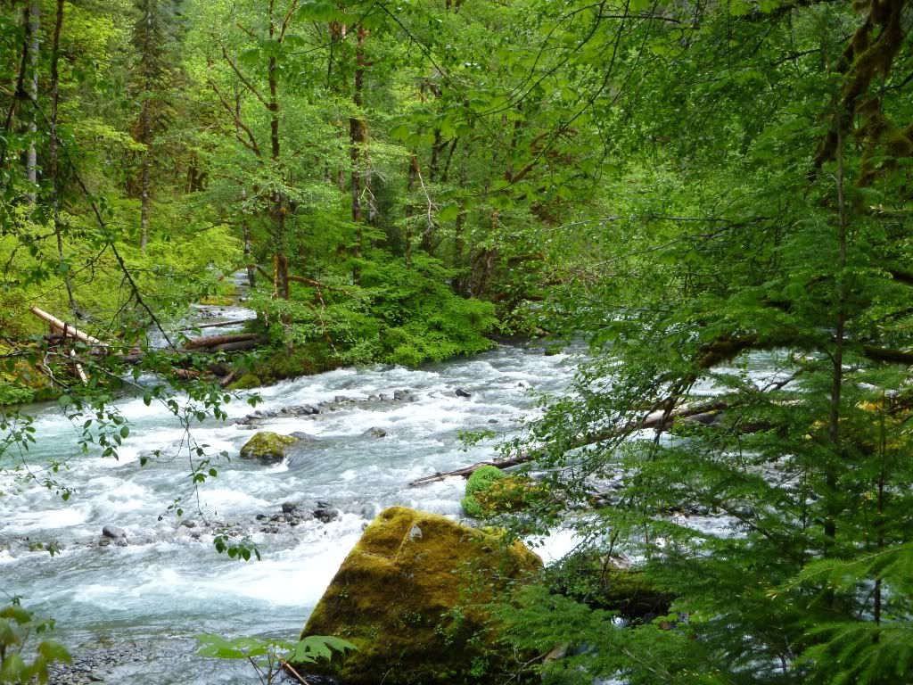P1000227.jpg
