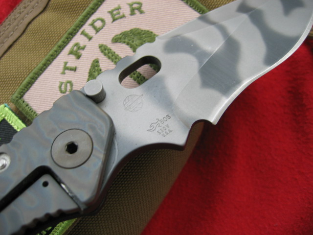MSCSpearpoint0004.JPG