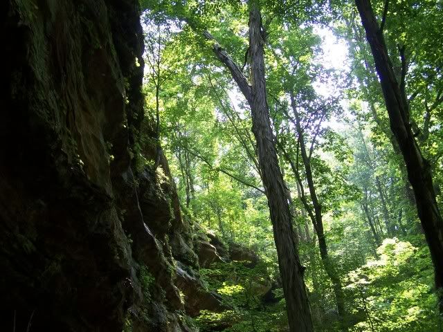 100_3920.jpg