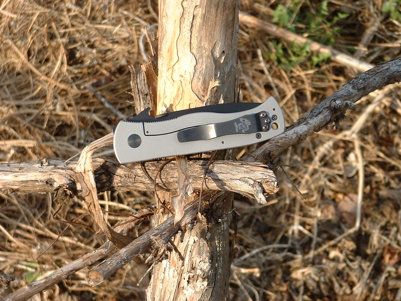 bAur6vX.jpg