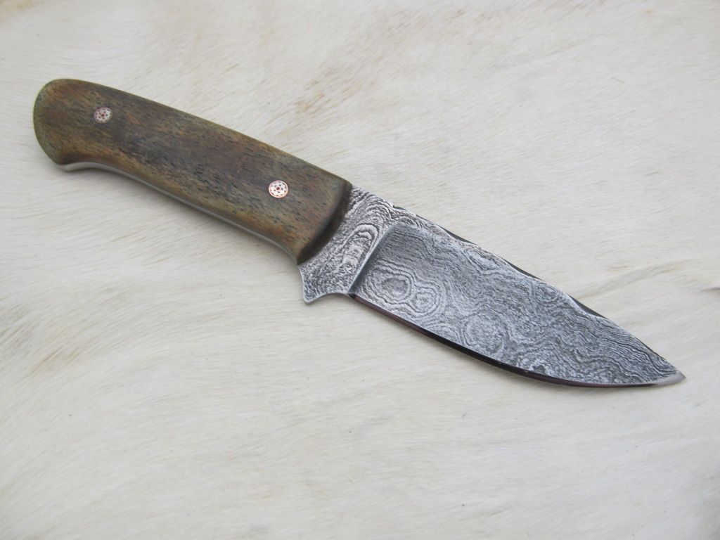 Micartaminiedc024.jpg