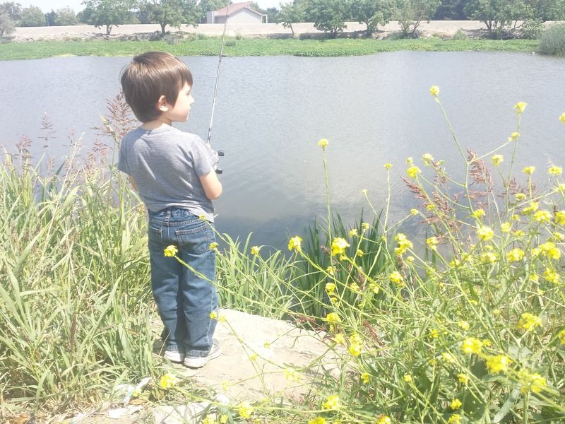 20150522_145848_zpsamnsltlz.jpg